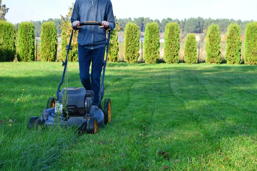 Benefits Of Professional Lawn Mowing Service For Your Yard Smithfield, VA Benefits Of Professional Lawn Mowing Service For Your Yard Smithfield, VA