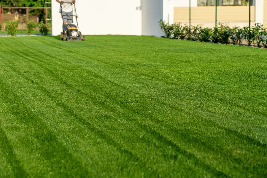 Benefits Of Professional Lawn Mowing Service For Your Yard in Smithfield, VA Benefits Of Professional Lawn Mowing Service For Your Yard in Smithfield, VA