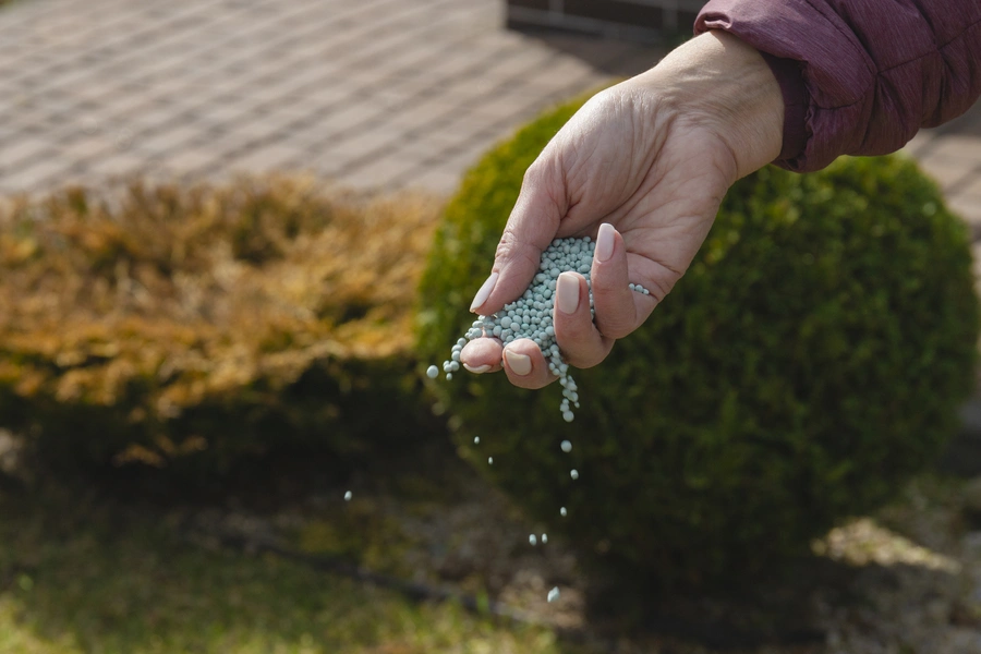 Fertilization Strategies To Enhance Turfgrass Durability Smithfield, VA Fertilization Strategies To Enhance Turfgrass Durability Smithfield, VA