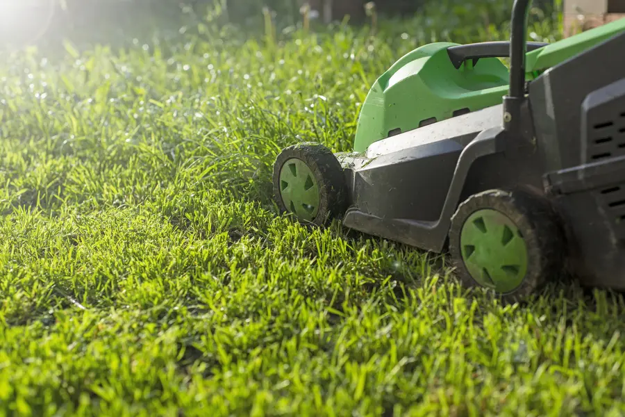 How Lawn Mowing Service Enhances Your Lawns Fertilization in Smithfield, VA How Lawn Mowing Service Enhances Your Lawns Fertilization in Smithfield, VA