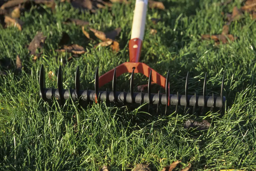 The Benefits Of Aeration For Your Lawn Maintenance Routine in Smithfield, VA The Benefits Of Aeration For Your Lawn Maintenance Routine in Smithfield, VA